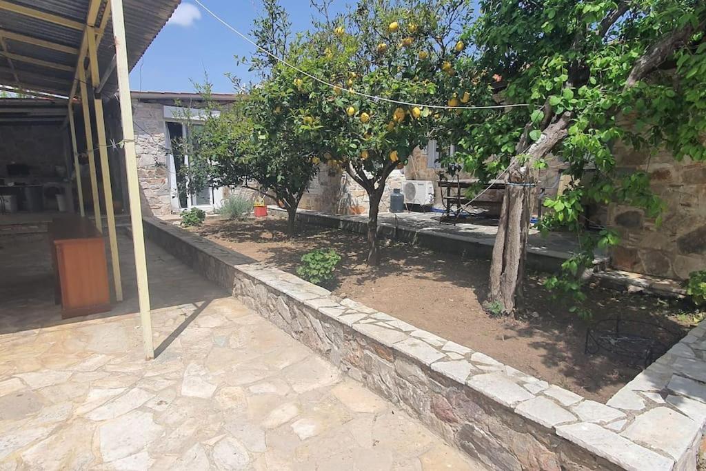 Confortable House In Nature Daire Fofola Dış mekan fotoğraf